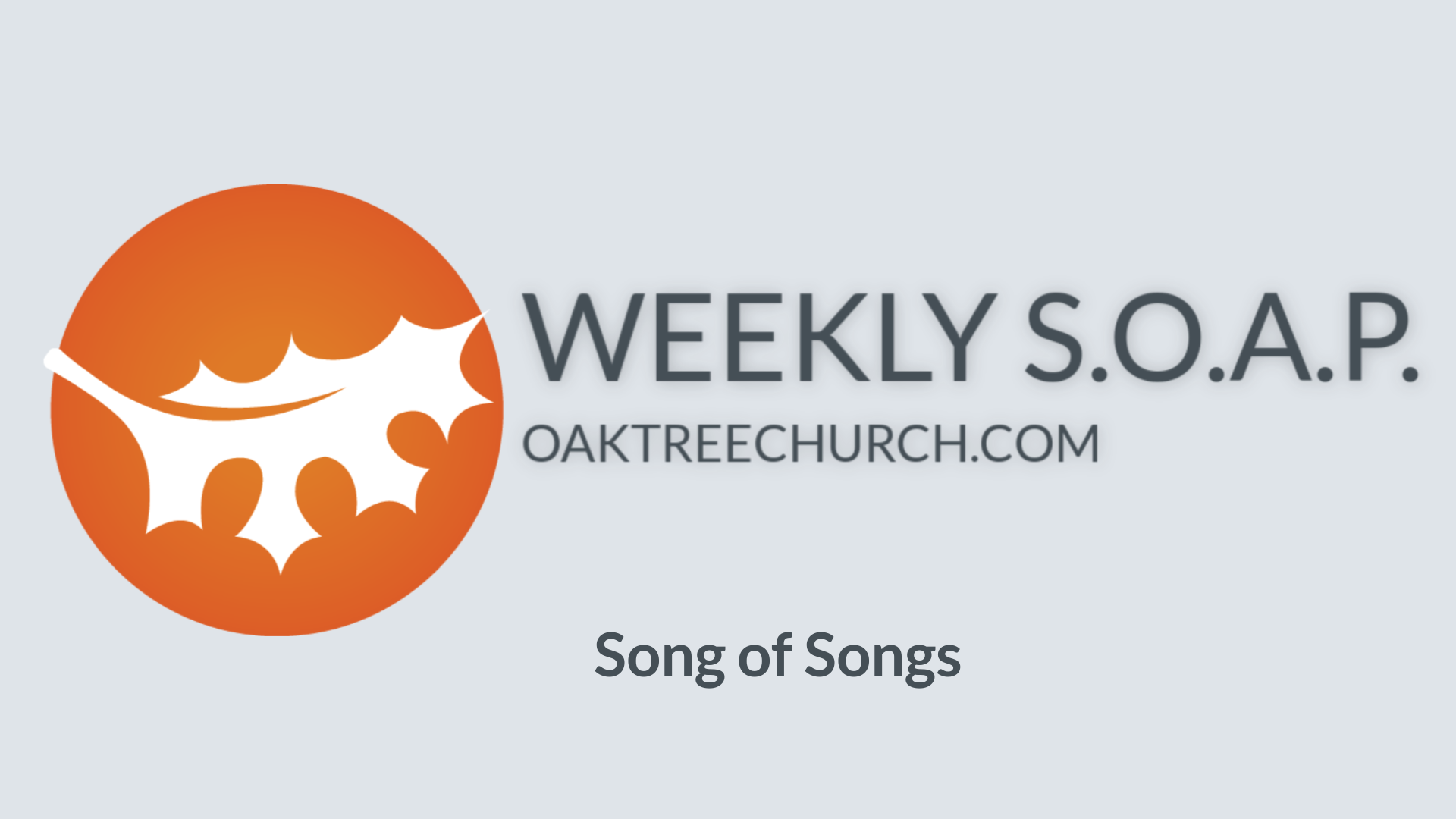 song-of-songs-week-2-s-o-a-p-video-oak-tree-community-church